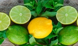 Фартук "Лимоны и лайм" 600*3000*1,5мм