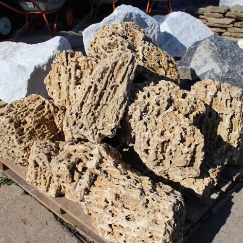 Миотис (ракушняк)